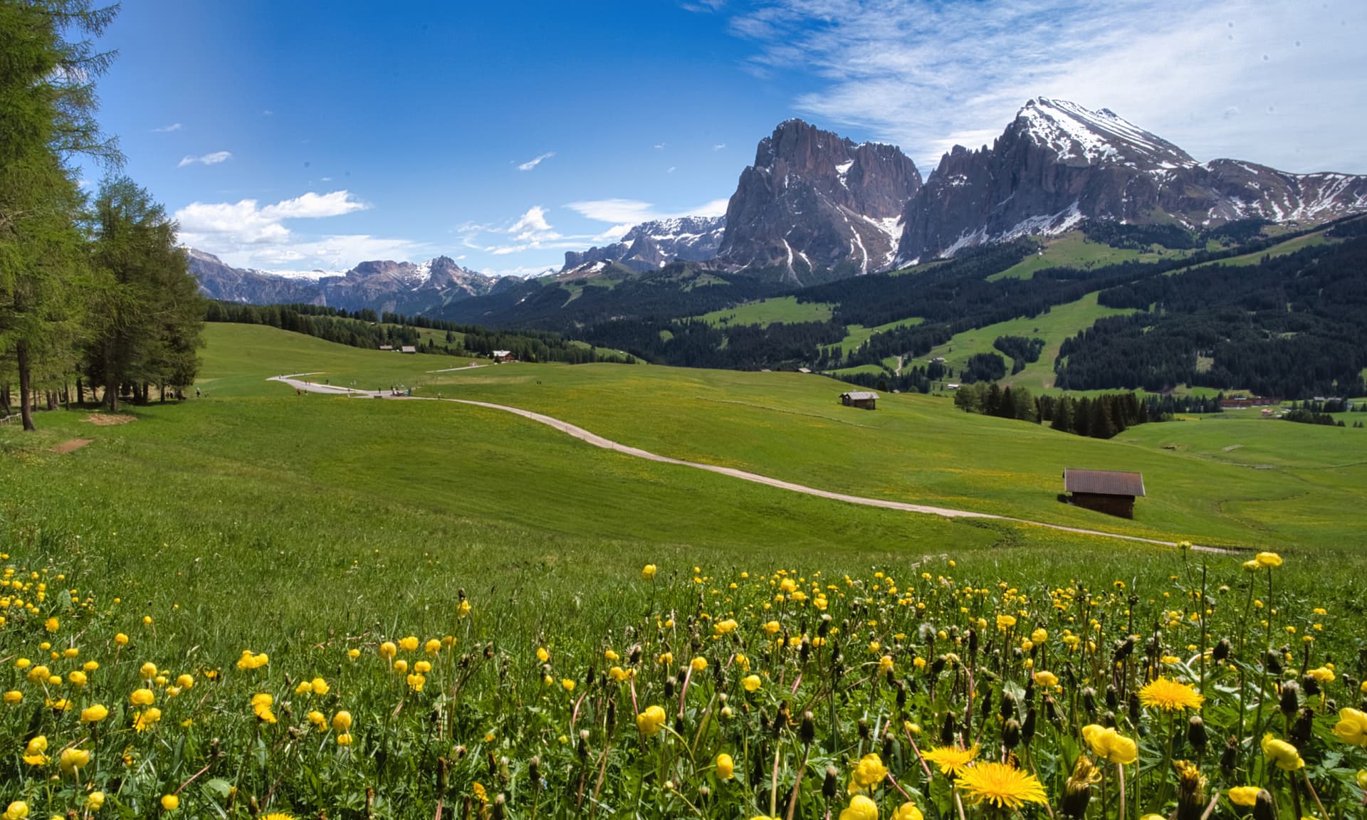 Panoramic tour + hike on the Alpe di Siusi