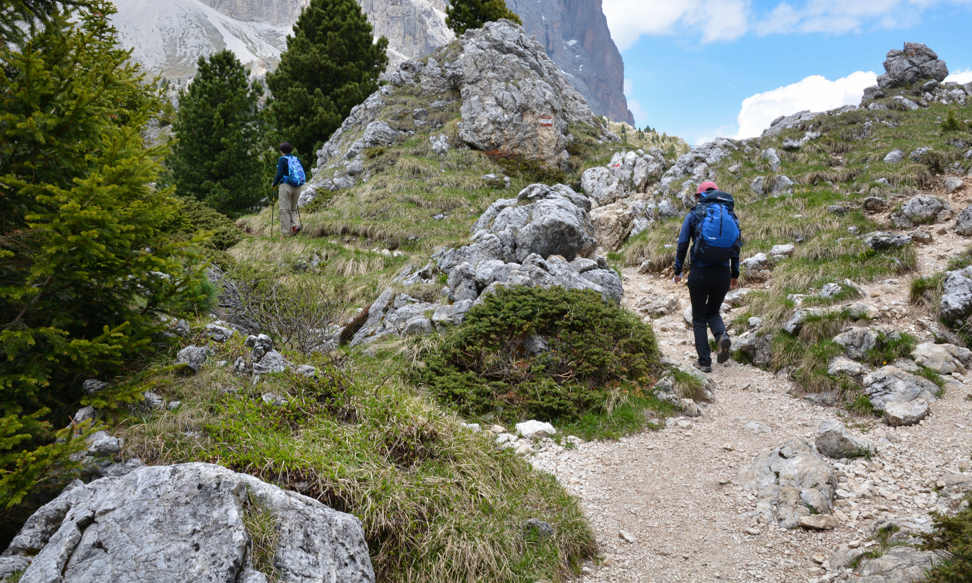 Panoramic tour + hike at the Sassolungo