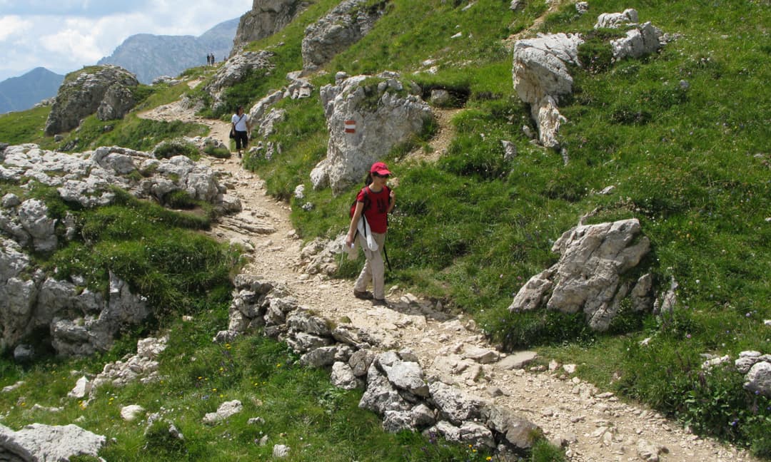 Panoramic tour + hike on the Rosengarten
