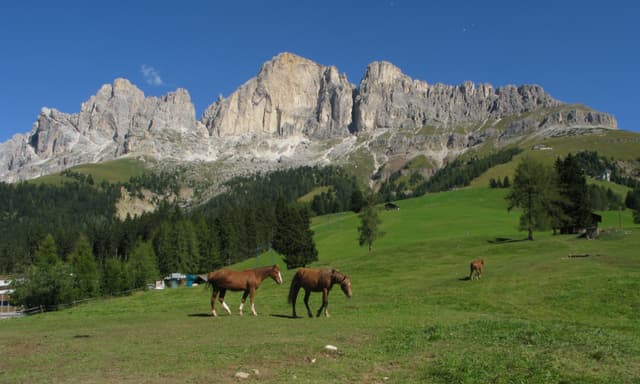 Al centro delle Dolomiti